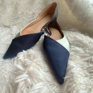 Zara Shoes